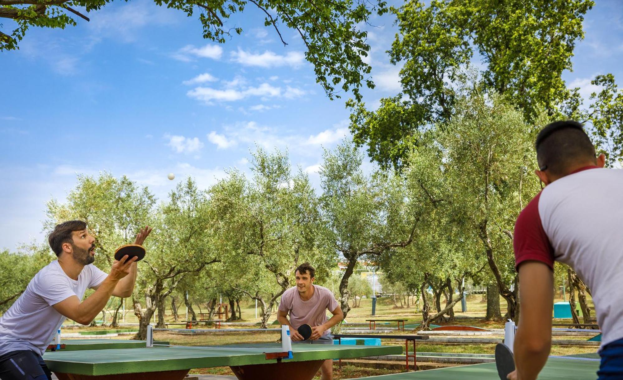 Aminess Planet Camping Maravea Resort - Pitches Novigrad  Екстер'єр фото